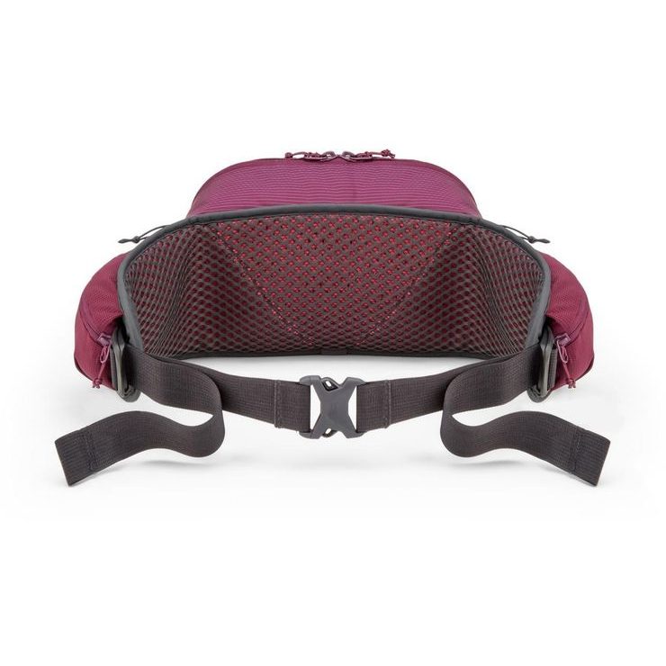 RAB Protium 6 mulberry
