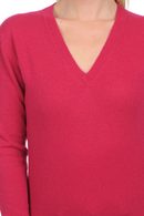 red fuschsia #3 red fuschsia #3