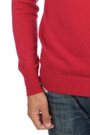 raspberry #2 raspberry #2