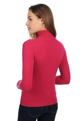 red fuschsia #2 red fuschsia #2