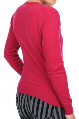 red fuschsia #2 red fuschsia #2