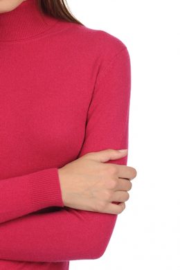 red fuschsia #3 red fuschsia #3