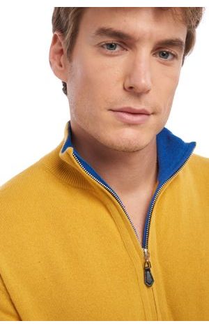 mustard / lapis blue #3