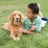 PetSafe® Zaun für kleine Hunde
