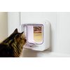 Drzwiczki Sureflap Microchip Cat Door Connect