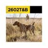 Dogtra 2602 T&B for 2 dogs