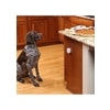 PetSafe® Pawz Away domácí ohradník pro psy a kočky