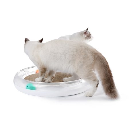 Kratzspielzeug Petkit für Katzen: eine originelle Lösung für alle Hauskatzen