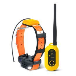 Dogtra Pathfinder 2 - GPS und Trainingshalsband