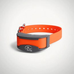 SportDOG® Halsband und Empfänger für kleine Hunde