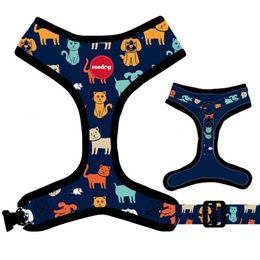 Dog harness Reedog DOG & CAT