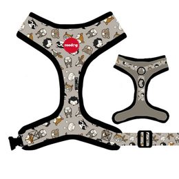 Reedog FOREST harness
