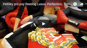 Video: Pelíšky pro psy Reedog Luxus, Tommy, Perfection