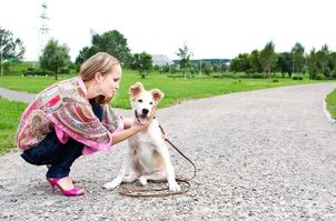 Dlaczego psy najczesciej odwracaja sie do ludzi zadkiem?