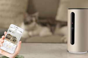 Video: Jak spárovat kameru PetKit Mate s chytrým telefonem