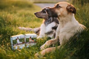 Video: Canicalm Premium - Anti-Bark-Halsband für kleine und große Hunde