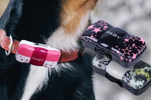GPS tracker PABY: Mějte svého psa nebo kočku pod dohledem!