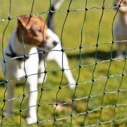 Zäune für Hunde