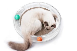Škrabadlo pro kočky Petkit: vynalézavé řešení pro všechny kočky doma