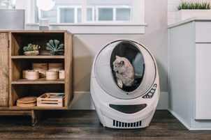 Litter Robot III - svetlo bliká žlto