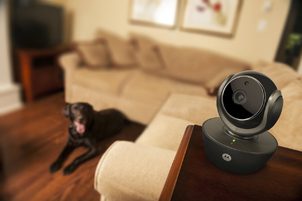 6 moderních způsobů jak ohlídat vašeho psa - díl 4.: Domácí smart kamery pro psy a kočky