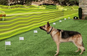 Video: DOGtrace d-Fence 101, 202, 1001, 2002 elektronický ohradník pre psov