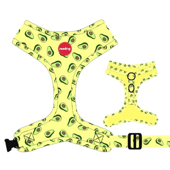 Reedog AVOCADO harness