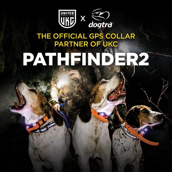 Dogtra Pathfinder 2 - GPS a výcvikový obojek