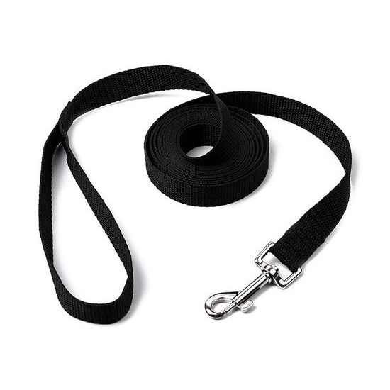 Reedog Long Dog Leash for Training