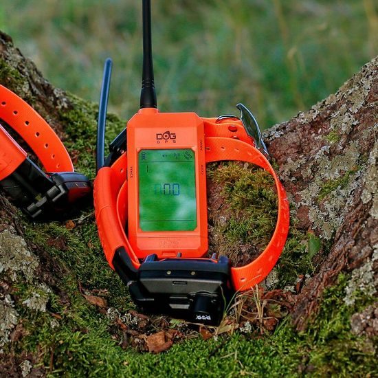Search and training device with sound locator DOG GPS X25TB