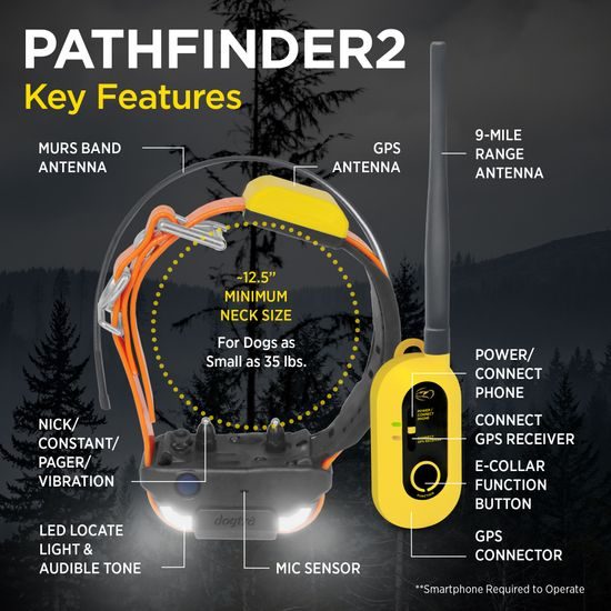 Dogtra Pathfinder 2 - GPS i obroża treningowa