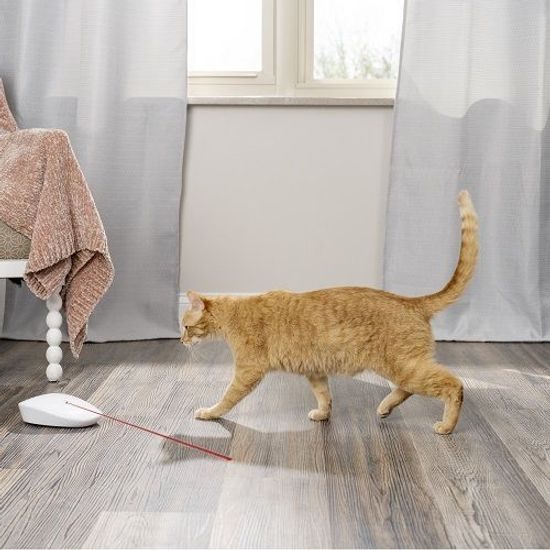 Zabawka dla kotów, PetSafe, Laser Tail Light