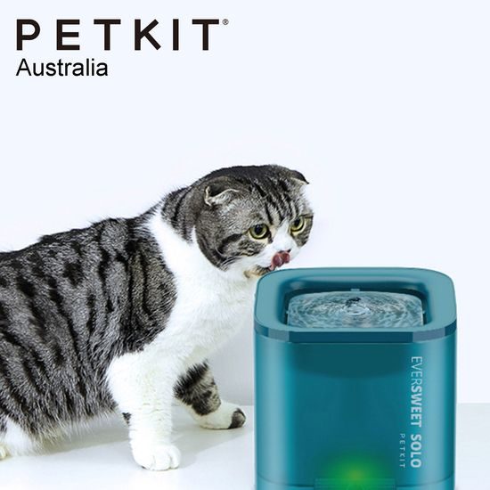 Petkit Eversweet Solo itatókút