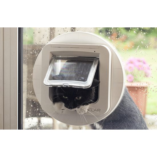 SureFlap door with microchip for cats