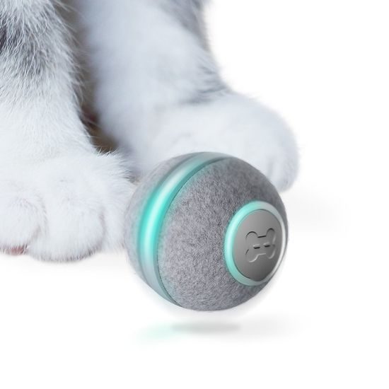 Cheerble Ball toy for cats and small dogs