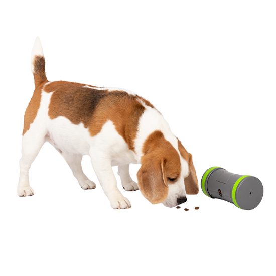 Elektronická hračka pre psov PetSafe Kibble Chase