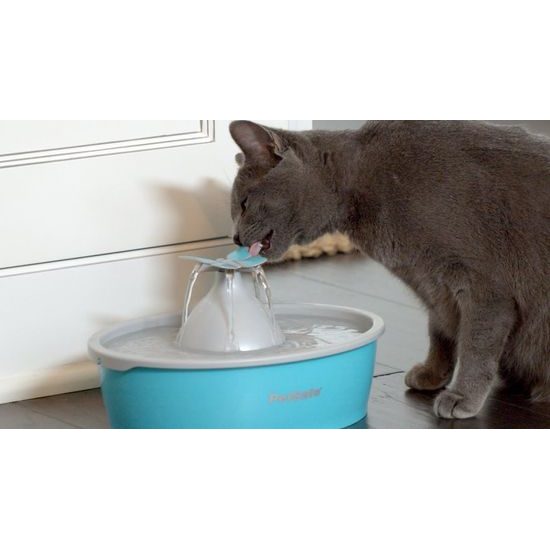 Fountain for cats and dogs Drinkwell Butterfly