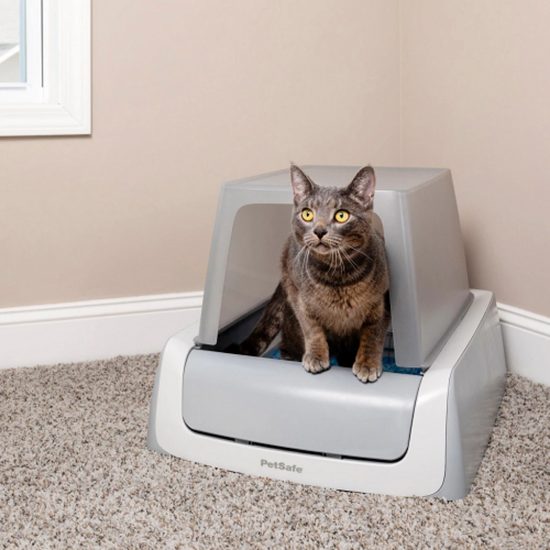 Automatic cat toilet ScoopFree™ Original - 2nd generation + cover