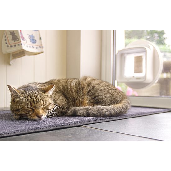 BAZAR - Dvířka pro kočky Sureflap Microchip Cat Door Connect