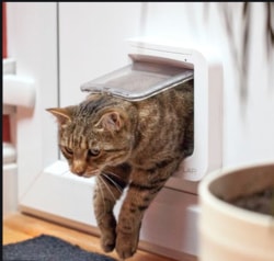 Drzwiczki Sureflap- Jaki chip mogę użyć?
