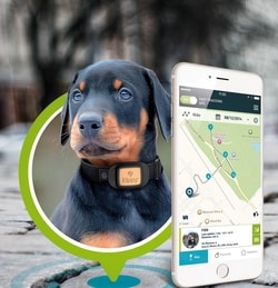 6 moderních způsobů jak ohlídat vašeho psa - 1. díl: GPS obojky pro psy