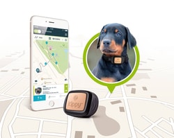 6 moderných spôsobov ako ustrážiť svojho psa - 1. diel: GPS obojky pre psov