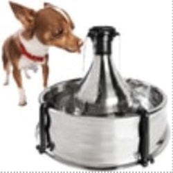 Beste Wasserspender und Trinkbrunnen für Hunde und Katzen