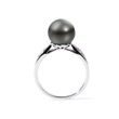 TAHITIAN PEARL AND DIAMOND RING IN WHITE GOLD - PEARL RINGS - PEARL JEWELLERY