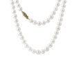 PEARL GOLD NECKLACE - PEARL NECKLACES - PEARL JEWELRY