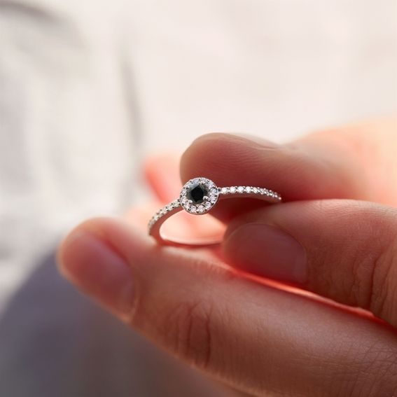 Discover the magic of champagne and black diamonds