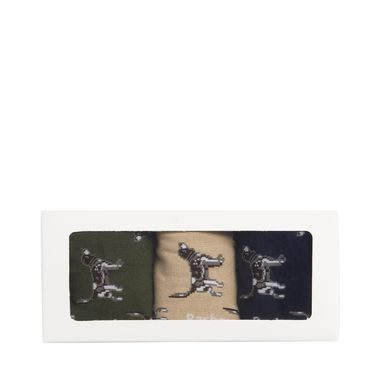 Barbour Pointer Dog Socks Gift Box — Forest Mist