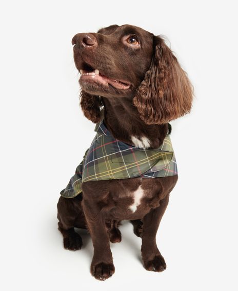 Barbour Packable Tartan Dog Coat — Classic Tartan