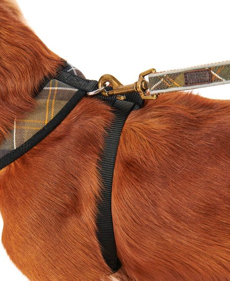 Barbour Tartan Dog Harness