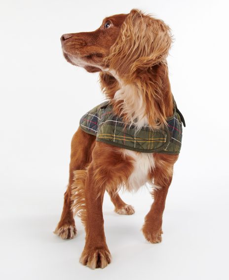 Barbour Tartan Dog Coat